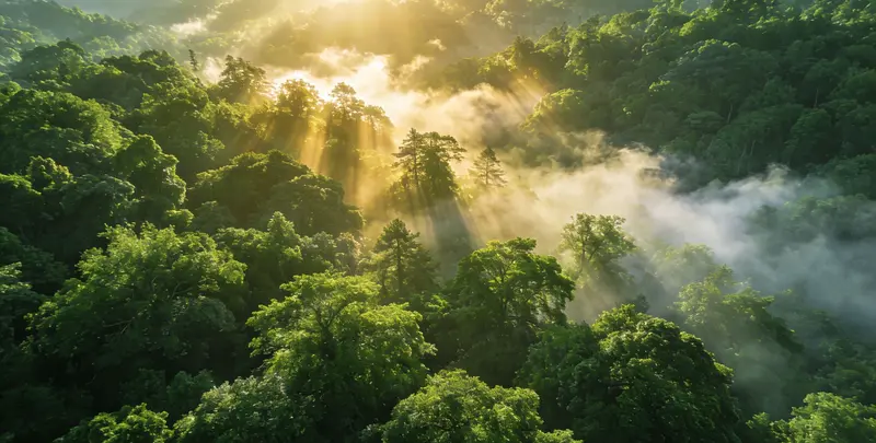 洛阳肺癌（EGFR T790M)突变检测图片1